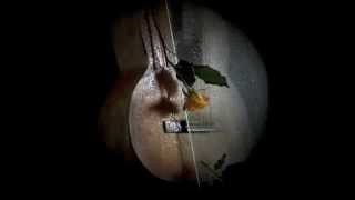 Dino Pehilj - Smooth And Quiet