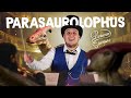 Dinopedia 13  un dinosaure musicien