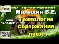 13.11.21 г. Z-рация, канал "#Творческое_пчеловодство" #Малыхин В.Е. #Технология_содержания_пчел