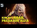 Kim Był Kaail Pierwszy Predator Alfa Wyzwoliciel!