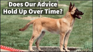 Uncle Stonnie's First Online Puppy Training Training Series  Does Our Advice Hold Up Over Time?