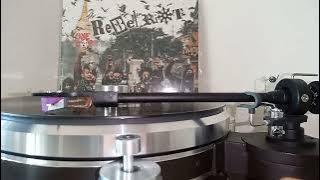The rebel riot - My Buddha is Punk ( One Day )  Original Vinyl sound