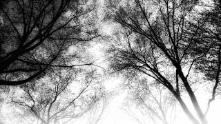 Cataleptic - Will of Mind