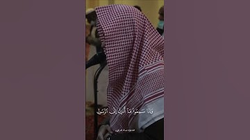 القارئ عبدالله القرافي |  مقاطع قران بدون حقوق  #اكسبلور #حالات_واتس  #قرآن  #quran