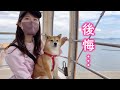 初めての観覧車に乗ったら大変なことになりました…