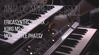 Analog Ambient Session - Ericasynth SYNTRX - Korg MS-20 - Moog LITTLE PHATTY