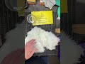 Testing Grooming Shears After Sharpening - Sharp, Crisp, Clean Cuts!