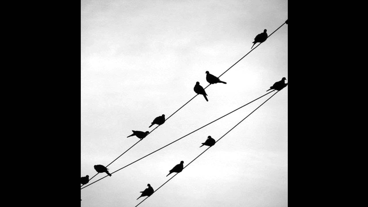 Sven Laux - A Place For Everything (Dewtone Podcast 040)