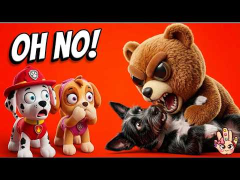 😱 El OSITO ABANDONADO parecía un ÁNGEL… pero NOS ENGAÑÓ! | Patrulla Canina