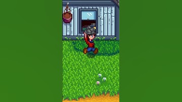 Stardrop Secrets in Stardew Valley