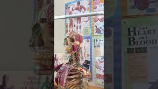 Nursing Simulation Lab Tour  - Summer 2026