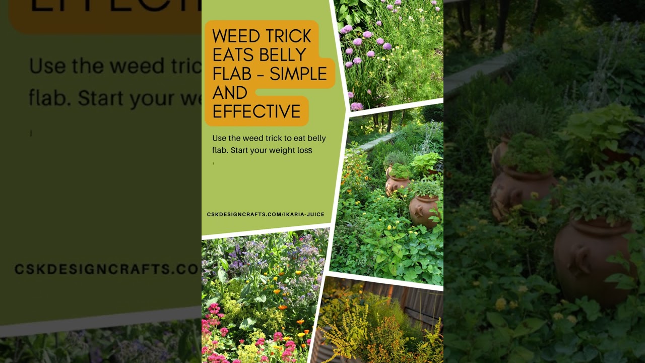 The Benefits of Ikaria Juice: A Fizzy Weight Loss Supplement