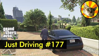 Michael visits his therapist | Just Driving #177 | GTA V