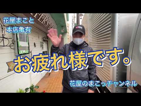 【花屋の見習いスタッフが花壇の植え替えをするの巻。今日のカメラマンはまこっチャン！？】@葛飾区亀有