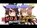 초보자·소과금러를 위한 한신 1600 챔미 공략 [우마무스메]