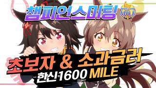 초보자·소과금러를 위한 한신 1600 챔미 공략 [우마무스메]