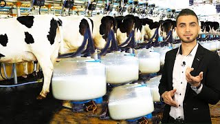 جولة في مصانع الحليب واللبن😱 كيف يصنع !؟