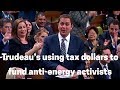 Trudeau’s using tax dollars to fund anti-energy activists | Andrew Scheer