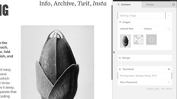 Cargo Basics – Editing Content