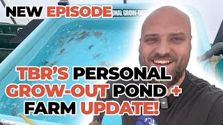 TBR'S PERSONAL GROWOUT FISH + FARM UPDATE   BUILDING MY ULTIMATE DREAM KOI HOUSE PART 10