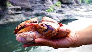 猪の〇玉を餌に離島の穴場でオオウナギを狙う【西表遠征#4話】