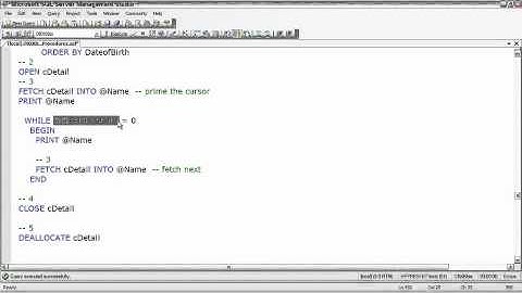 SQL Server  Working with a Cursor