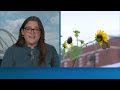 Iowa researchers advocate for monarch butterflies amid annual migration