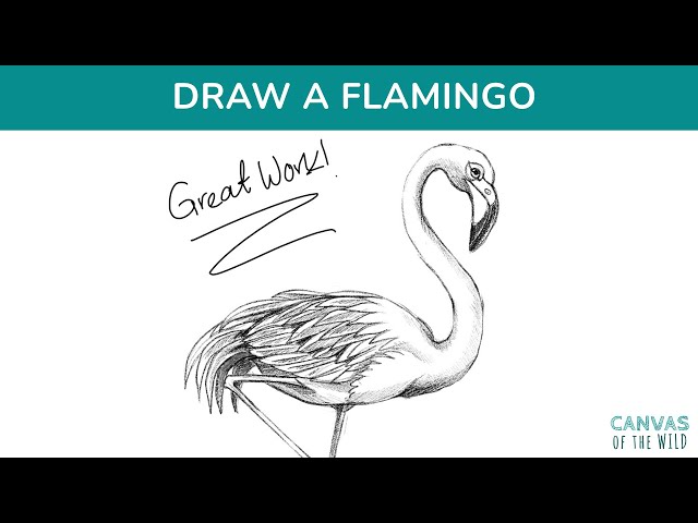 Flamingo sketch vector illustration. Flamingo... - Stock Illustration  [74921802] - PIXTA