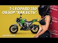 Обзор на мотоцикл Regulmoto T Leopard 250