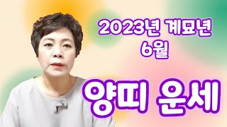 2023계묘년 6월 양띠 운세입니다.