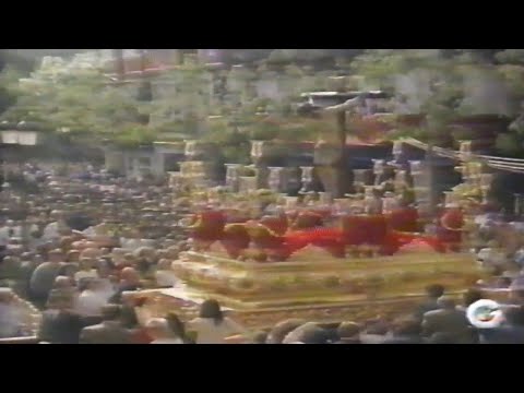 Real, Ilustre y Fervorosa Hermandad Sacramental de la Pura y Limpia Concepción de la Santísima Virgen María, Ánimas Benditas del Purgatorio y Cofradía de Nazarenos del Santísimo Cristo de la Salud, María Santísima del Refugio, Santa Cruz, Nuestra Señora del Patrocinio, Santa Bárbara y San Bernardo