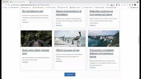 Ajax Post Grid WordPress Plugin with Infinite Scroll