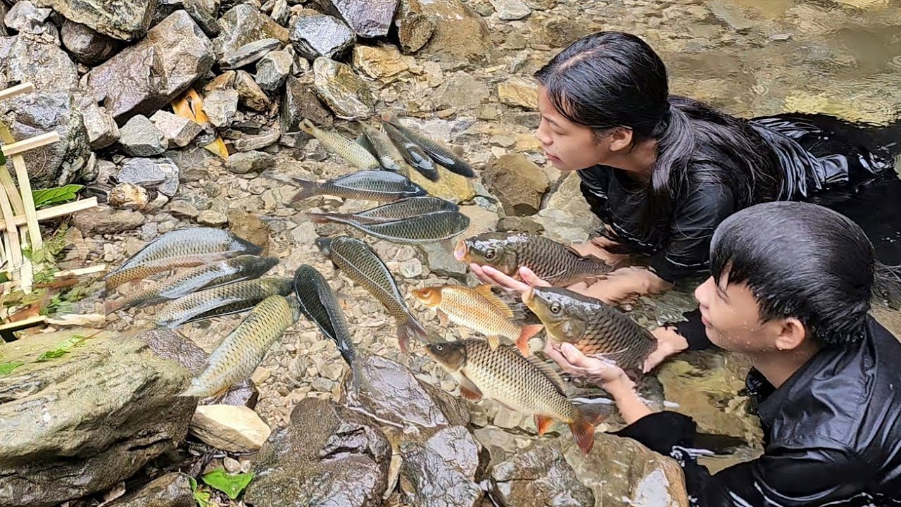 20 Days : Homeless boy and poor girl catch fish and pick melons to sell ...