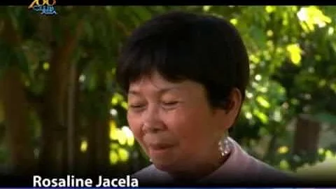 A Seemingly Perfect Life : Rosalyn Jacela