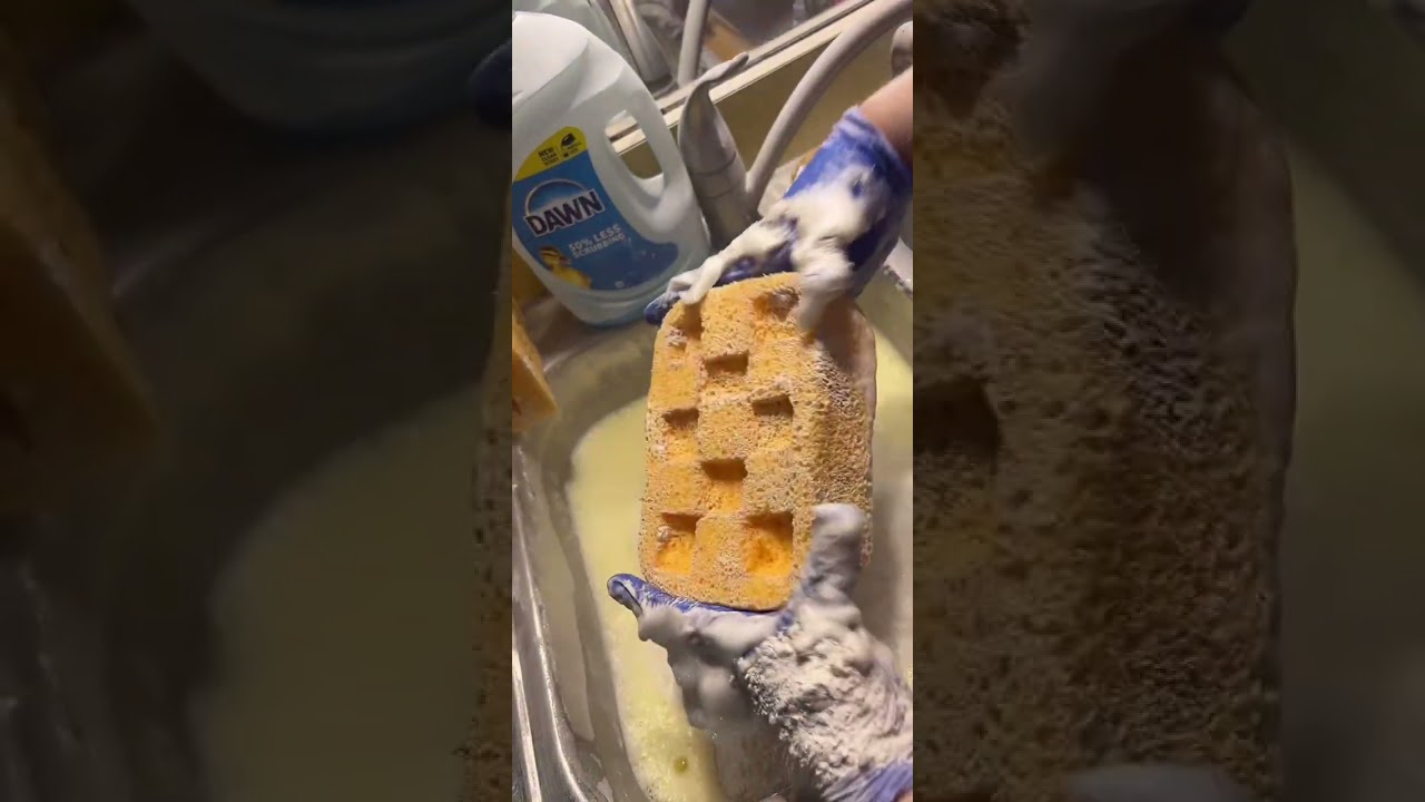 ASMR sponge squeezing live recap 