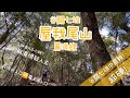 谷關七雄｜老三屋我尾山｜最容易大雪山線🆚最難麗陽線｜七雄中最陡｜爬到懷疑人生😭 【香港人行台灣山】#香港人在台灣 #屋我尾山 @nuresecret_z4994  @shellwehike