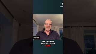 Yeast, Sugar Cravings &amp; SIBO Explained Simply