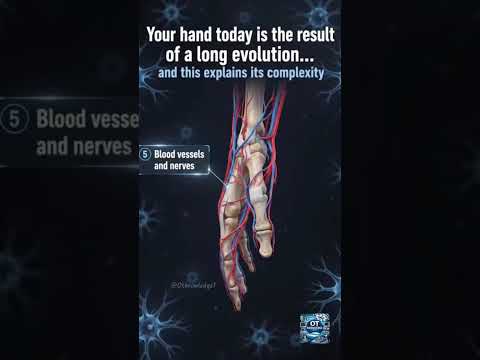 Ever wondered what's really going on under your skin? #expensivepee #quackers #bodysays #physio