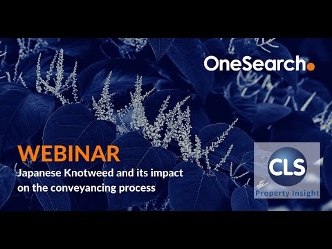 Webinar | Japanese Knotweed And Its Impact On The Conveyancing Process