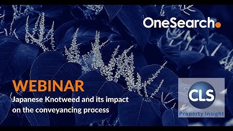 Webinar | Japanese knotweed and its impact on the conveyancing process