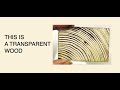 TRANSPARENT WOOD: science and technology news 2020