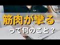 【一緒に勉強】筋肉が攣る（つる）って何のこと？筋痙攣・筋スパズムの原理と対処法について