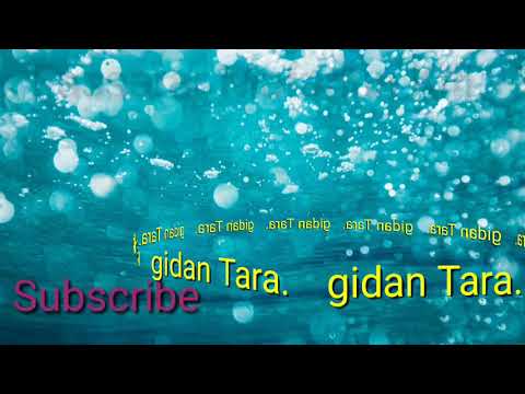 Fassarar Mafarkin Kifi 