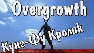 Overgrowth -  Юзя и Кунг-фу Кролик
