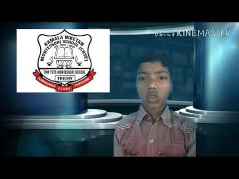 sample essay my home my mom