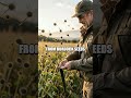 Beaks to Ballasts: Five Fresh Nature-Fueled Futures