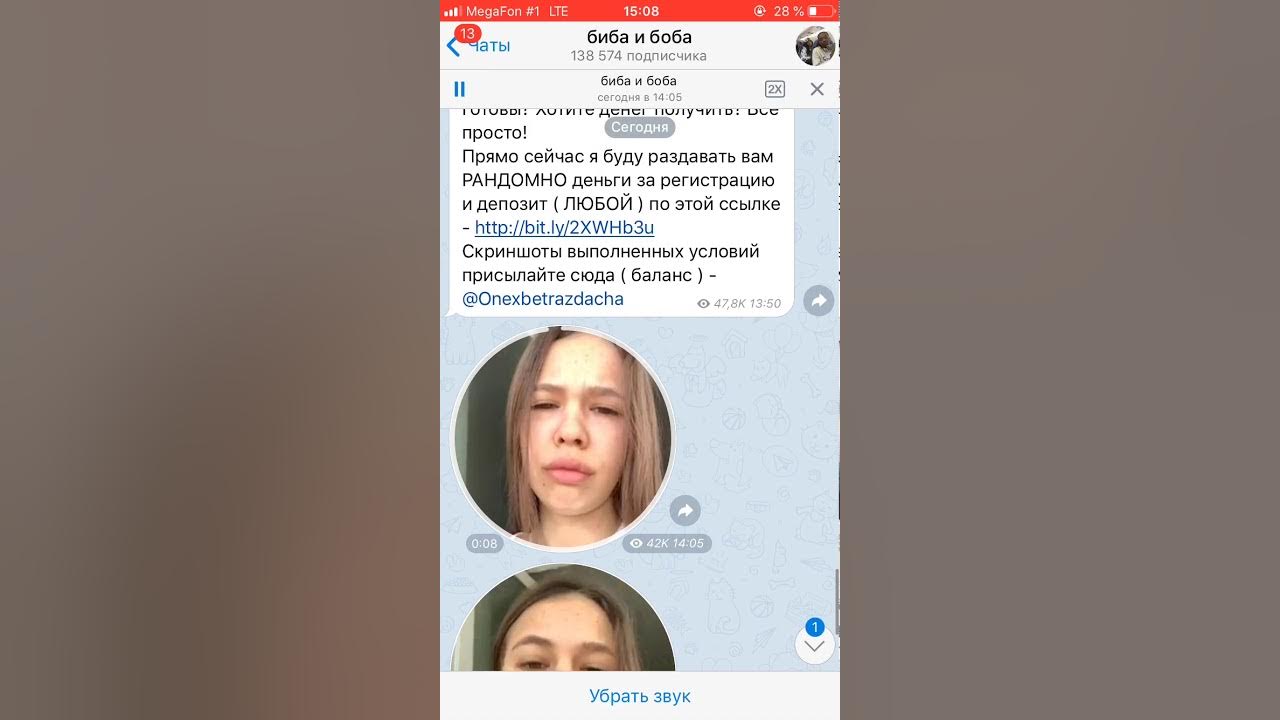 номер инстасамки настоящий. телефона инстасамки настоящий. инстасамка аккаунт. номер телефона инстасамки. номер инста самки.