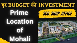 9th Avenue Mohali | Best Commercial Property Investment in Mohali | Near Chandigarh #LiveSiteVisit