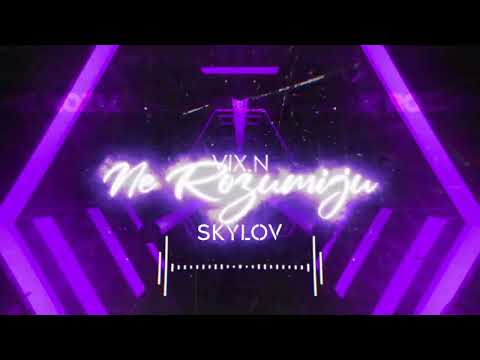 Vix.N - Ne Rozumiju (SKYLOV BOOTLEG)