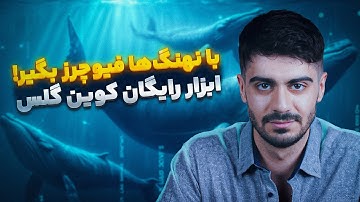 آموزش رایگان دنبال کردن نهنگ‌های ارزدیجیتال(Hyperliquid Whale Tracker )